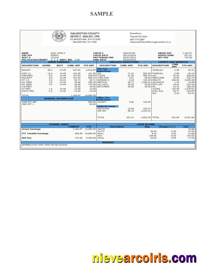 Galveston County Payroll Check Stub